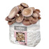 Organic Black King Mushroom Grow Kit Fruiting Block